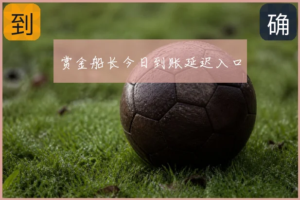赏金船长今日到账延迟入口